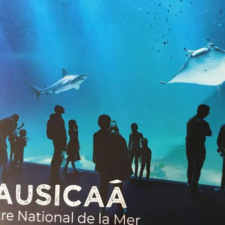 Studio Wimereux ويميرو