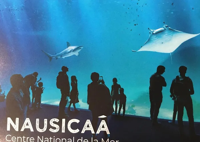 Studio Wimereux Wimereux